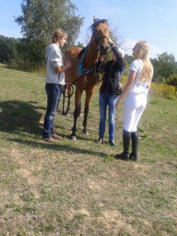 Rajd Minoga 2015